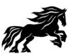 FrieserFocus